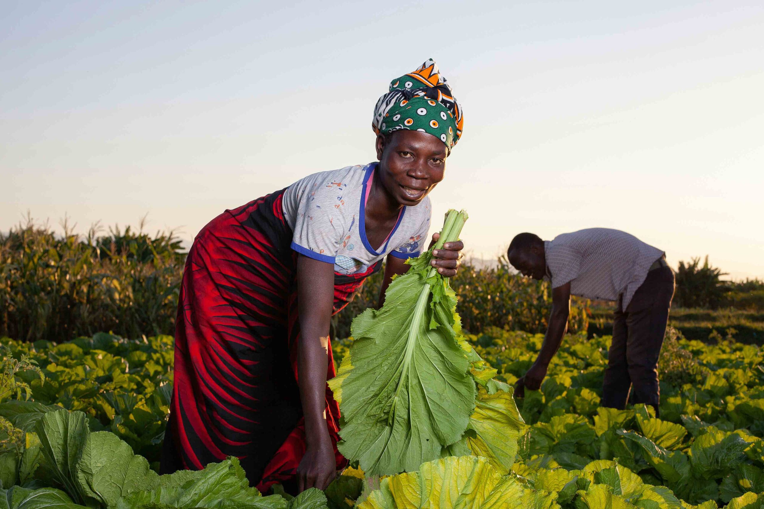 Enhancing Rural Women and Youth Engagement in Entrepreneurship