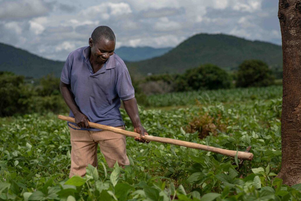 Youth in Agribusiness — VijaBiz