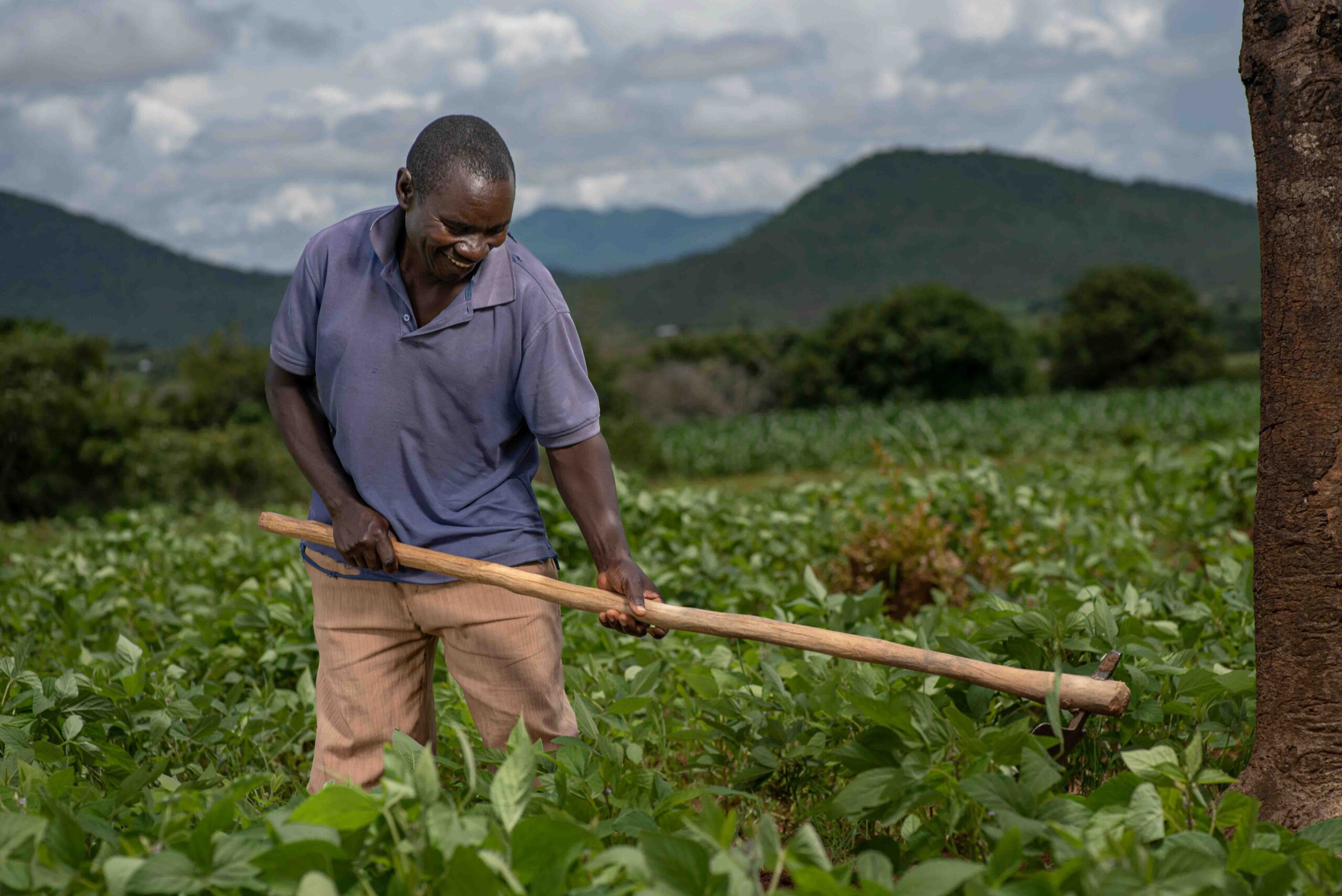 Youth in Agribusiness — VijaBiz